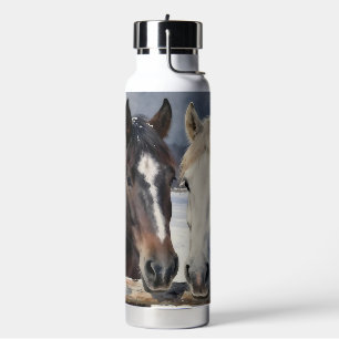 Twee paarden op een besneeuwde boerderij Geperso Waterfles