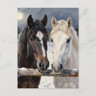 Twee paarden op een besneeuwde boerderij In cont Briefkaart