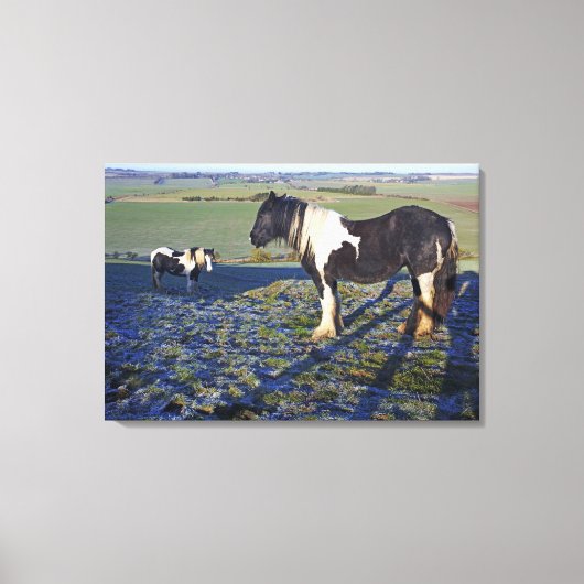 Twee paarden op Hackpen hill in North Wiltshire Canvas Afdruk (Voorkant)