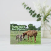 Twee paarden op het hek in Inola Oklahoma Briefkaart (Staand voorkant)