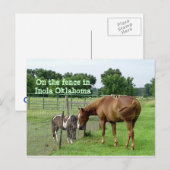 Twee paarden op het hek in Inola Oklahoma Briefkaart (Voorkant / Achterkant)