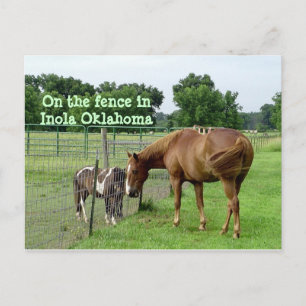 Twee paarden op het hek in Inola Oklahoma Briefkaart