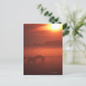 Twee paarden op zonsondergang briefkaart (Staand voorkant)