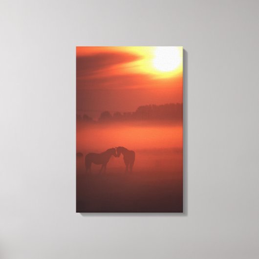 Twee paarden op zonsondergang canvas afdruk (Voorkant)