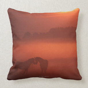 Twee paarden op zonsondergang kussen
