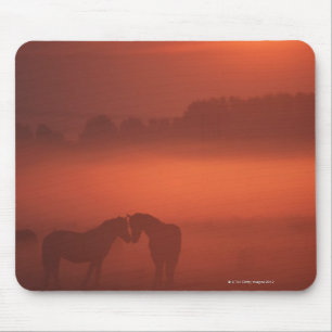 Twee paarden op zonsondergang muismat