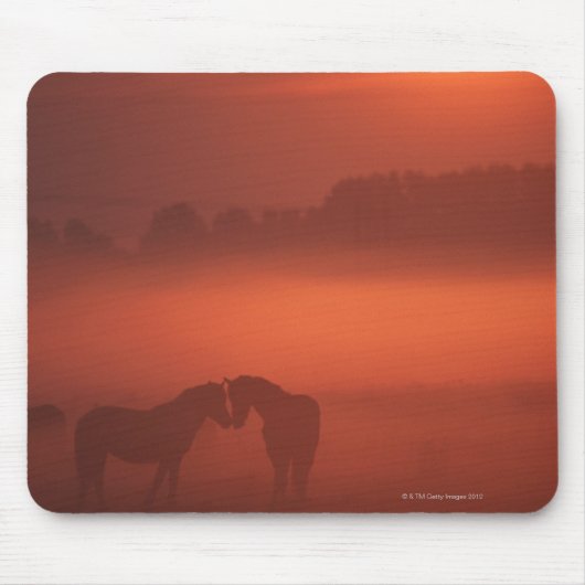 Twee paarden op zonsondergang muismat (Voorkant)
