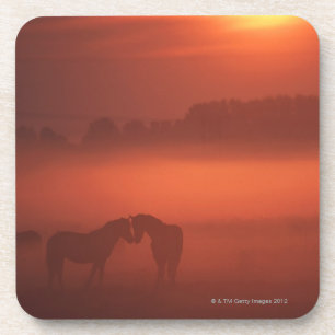 Twee paarden op zonsondergang onderzetter