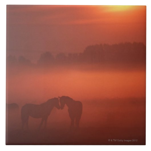 Twee paarden op zonsondergang tegeltje (Voorkant)