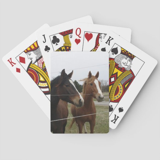 Twee paarden pokerkaarten (Achterkant)