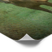 Twee paarden poster (Hoek)