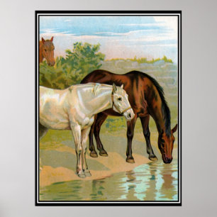 Twee Paarden  Retroafdrukken Poster