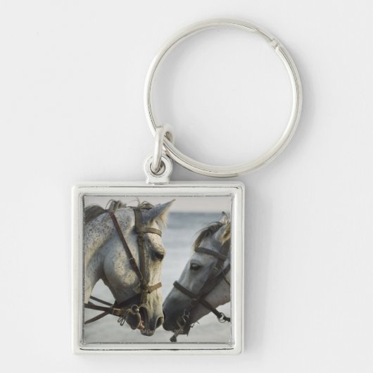Twee paarden. sleutelhanger (Voorkant)
