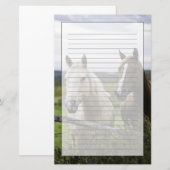Twee paarden staan in de buurt van een hek in het  briefpapier (Voorkant / Achterkant)