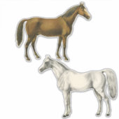 Twee  paarden sticker (Voorkant)