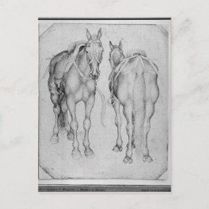 Twee paarden uit het Album van de Vallardi Briefkaart
