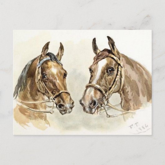 Twee paarden uit "Studies in Animal Painting" Briefkaart (Voorkant)