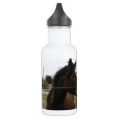 Twee paarden waterfles  (Links)