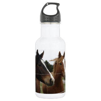 Twee paarden waterfles