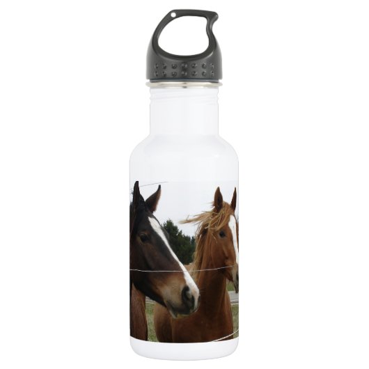 Twee paarden waterfles  (Voorkant)