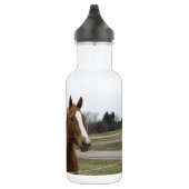 Twee paarden waterfles  (Rechts)