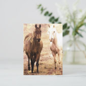 Twee Paardenmaatjes Sepia Briefkaart (Staand voorkant)