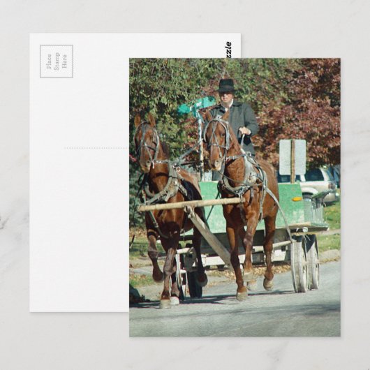 Twee paardenploegen briefkaart (Voorkant / Achterkant)