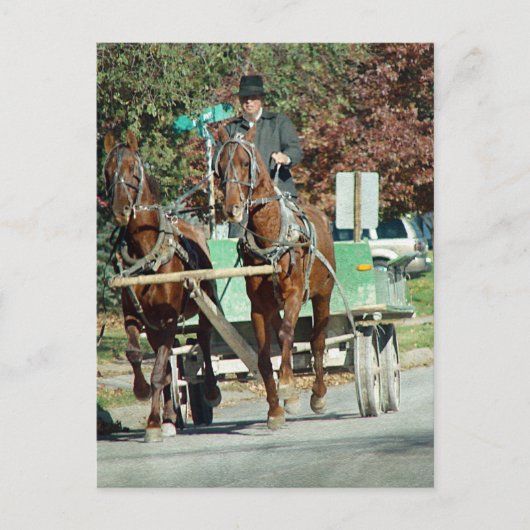 Twee paardenploegen briefkaart (Voorkant)