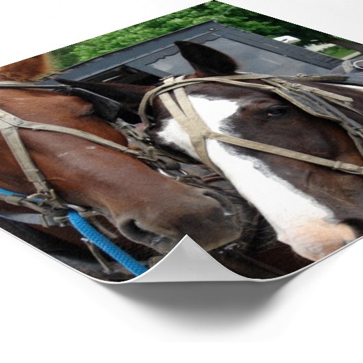 Twee paardenteam met één pin poster (Hoek)