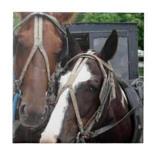 Twee paardenteam met één pin tegeltje