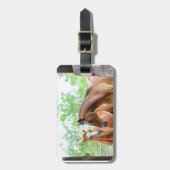 Twee paardenvrienden bagagelabel (Voorkant verticaal)