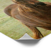 Twee paardenvrienden poster (Hoek)