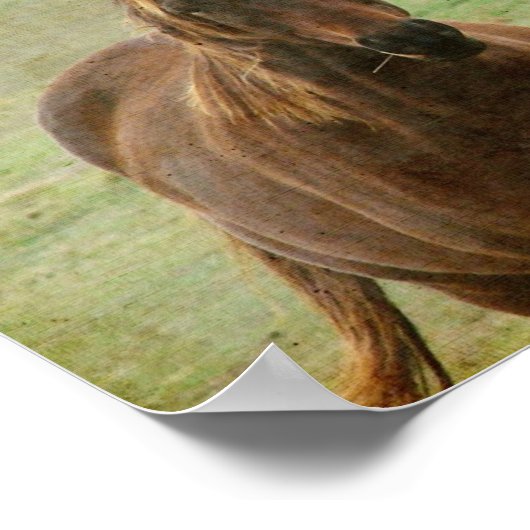 Twee paardenvrienden poster (Hoek)