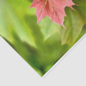 Twee paarse bladeren tissuepapier (Detail)