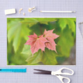 Twee paarse bladeren tissuepapier (Craft)