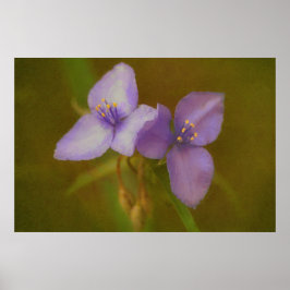 Twee paarse bloemen Art Wildflower Poster