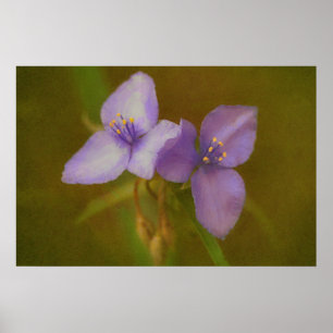 Twee paarse bloemen Art Wildflower Poster