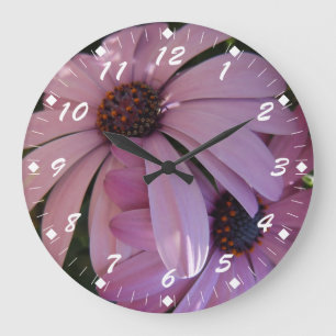 Twee Paarse Daisies Grote Klok