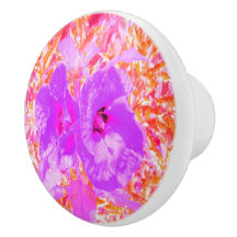 Twee Paarse en warme roze roze luiers hibiscus