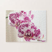 Twee Paarse en witte orchidee foto Legpuzzel (Horizontaal)