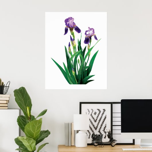 Twee Paarse Irises Poster (Thuiskantoor)