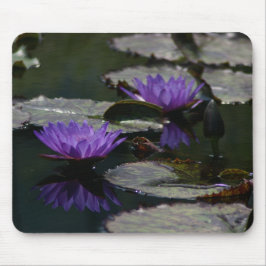 Twee Paarse Lotus Waterlilies Muismat