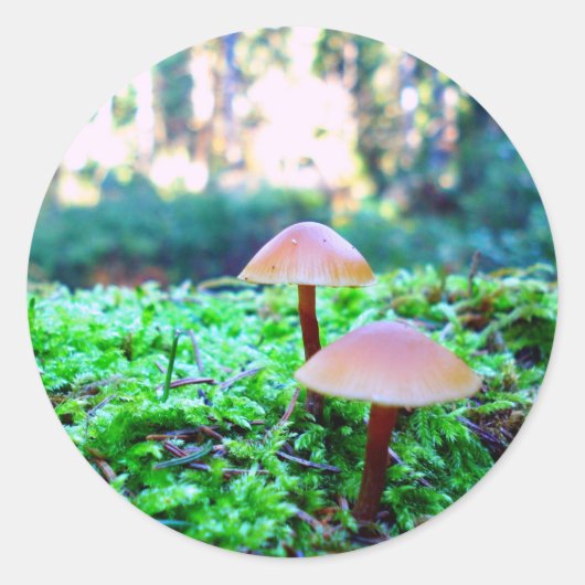 twee paddenstoelen ronde sticker (Voorkant)