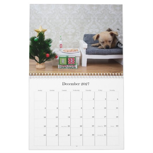 Twee pagina MediumCalendar, Wit Kalender (Dec 2027)