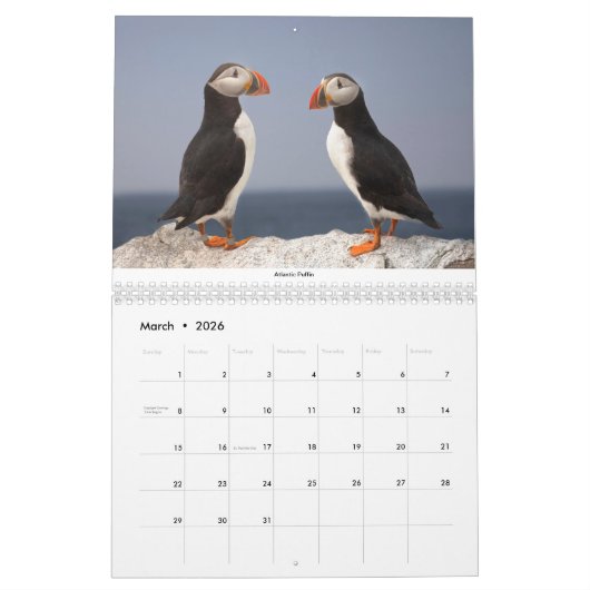 Twee pagina MediumCalendar, Wit Kalender (Mar 2026)