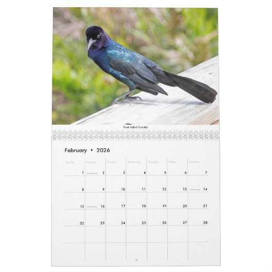 Twee pagina MediumCalendar, Wit Kalender (Feb 2026)