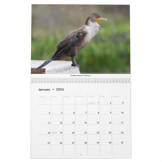 Twee pagina MediumCalendar, Wit Kalender (Jan 2026)