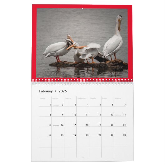 Twee pagina MediumCalendar, Wit Kalender (Feb 2026)