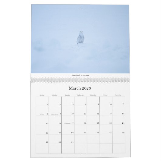 Twee pagina MediumCalendar, Wit Kalender (Mar 2026)