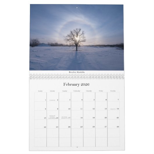 Twee pagina MediumCalendar, Wit Kalender (Feb 2026)